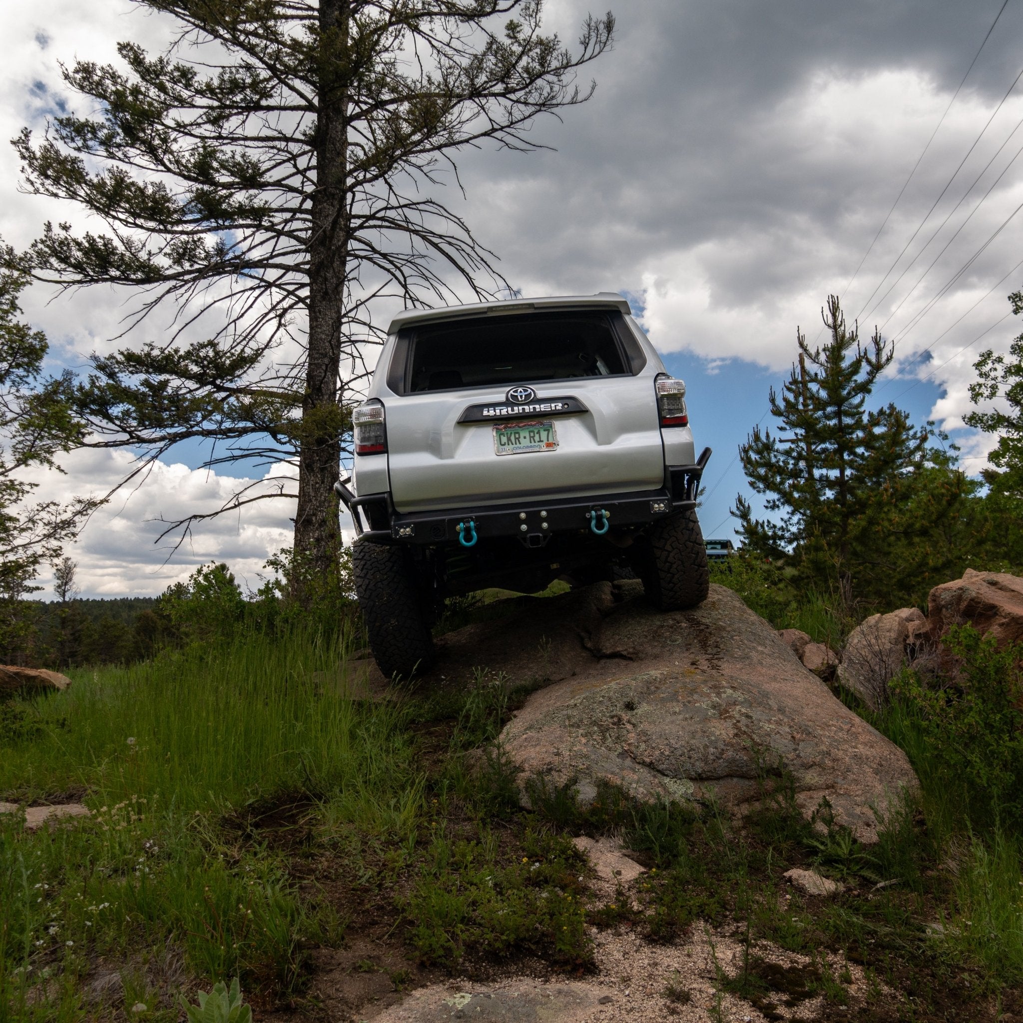 2010 - 2024 / 5th Gen 4Runner / Rear Bumper - TEQ Offroad