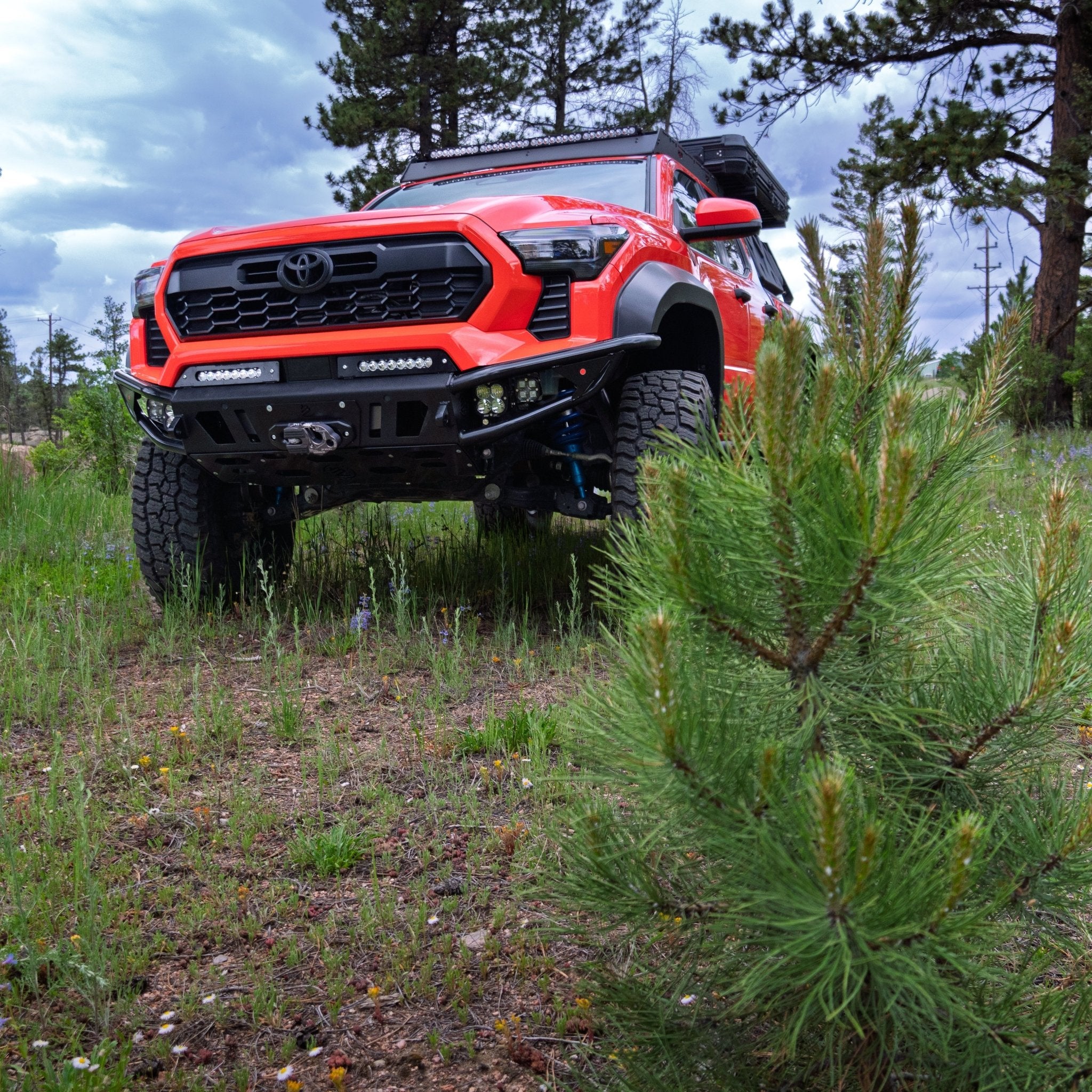 2024 - 2025 / 4th Gen / Tacoma Hybrid Bumper - TEQ Offroad