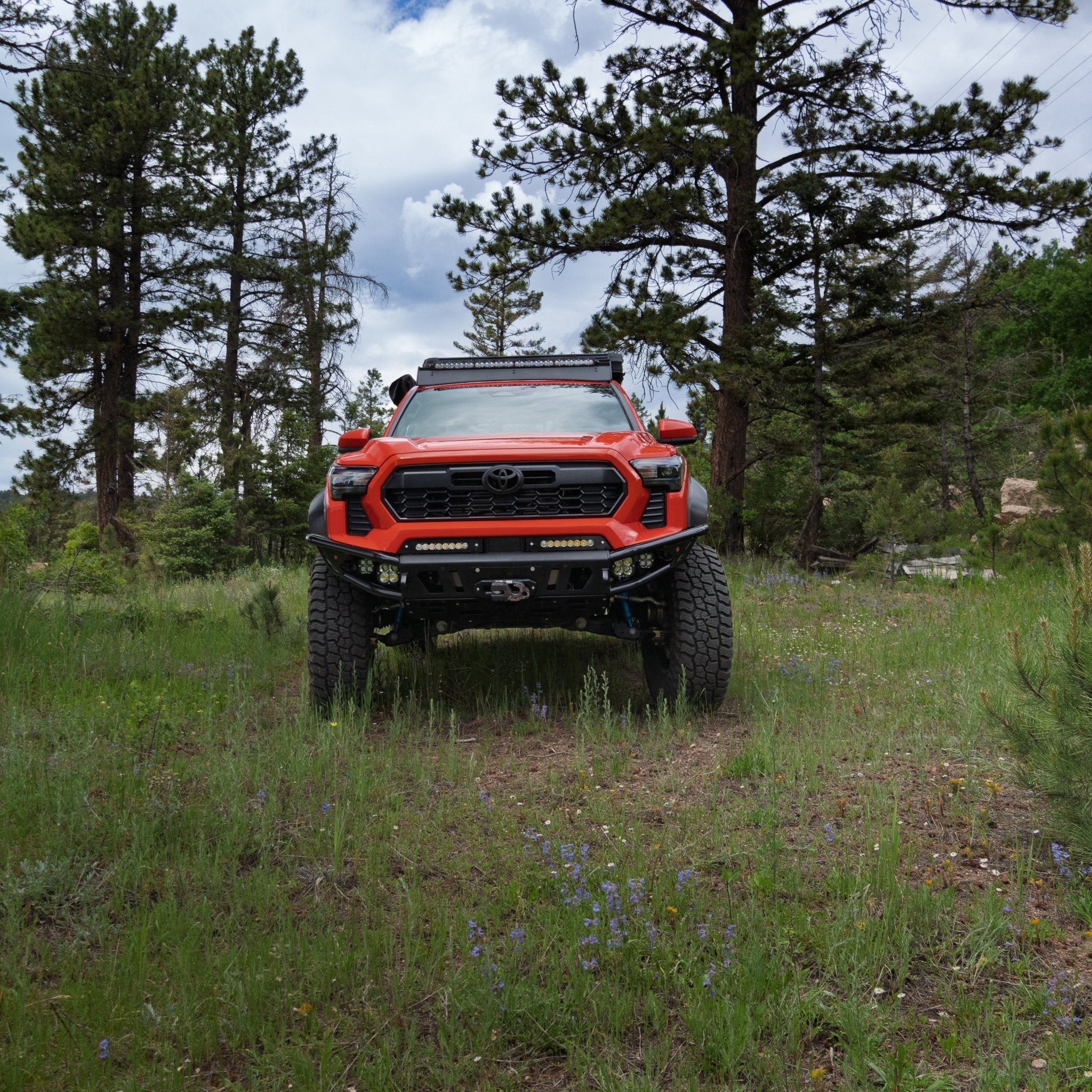 2024 - 2025 / 4th Gen / Tacoma Hybrid Bumper - TEQ Offroad