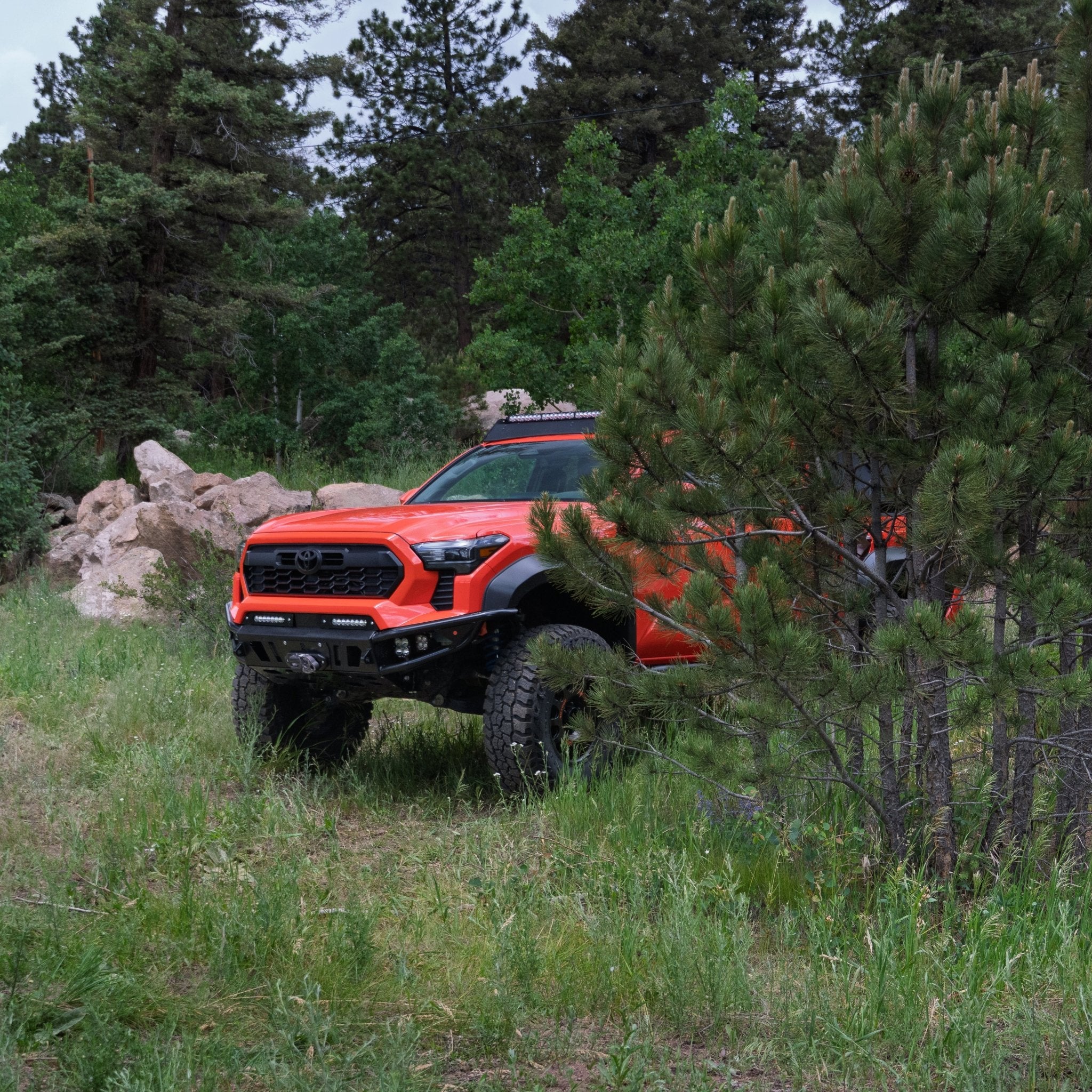 2024 - 2025 / 4th Gen / Tacoma Hybrid Bumper - TEQ Offroad