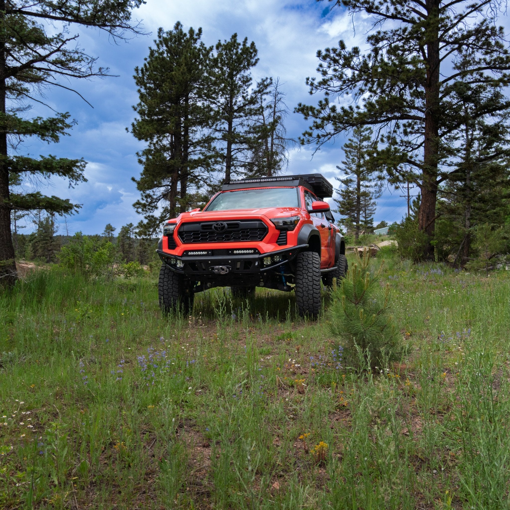 2024 - 2025 / 4th Gen / Tacoma Hybrid Bumper - TEQ Offroad