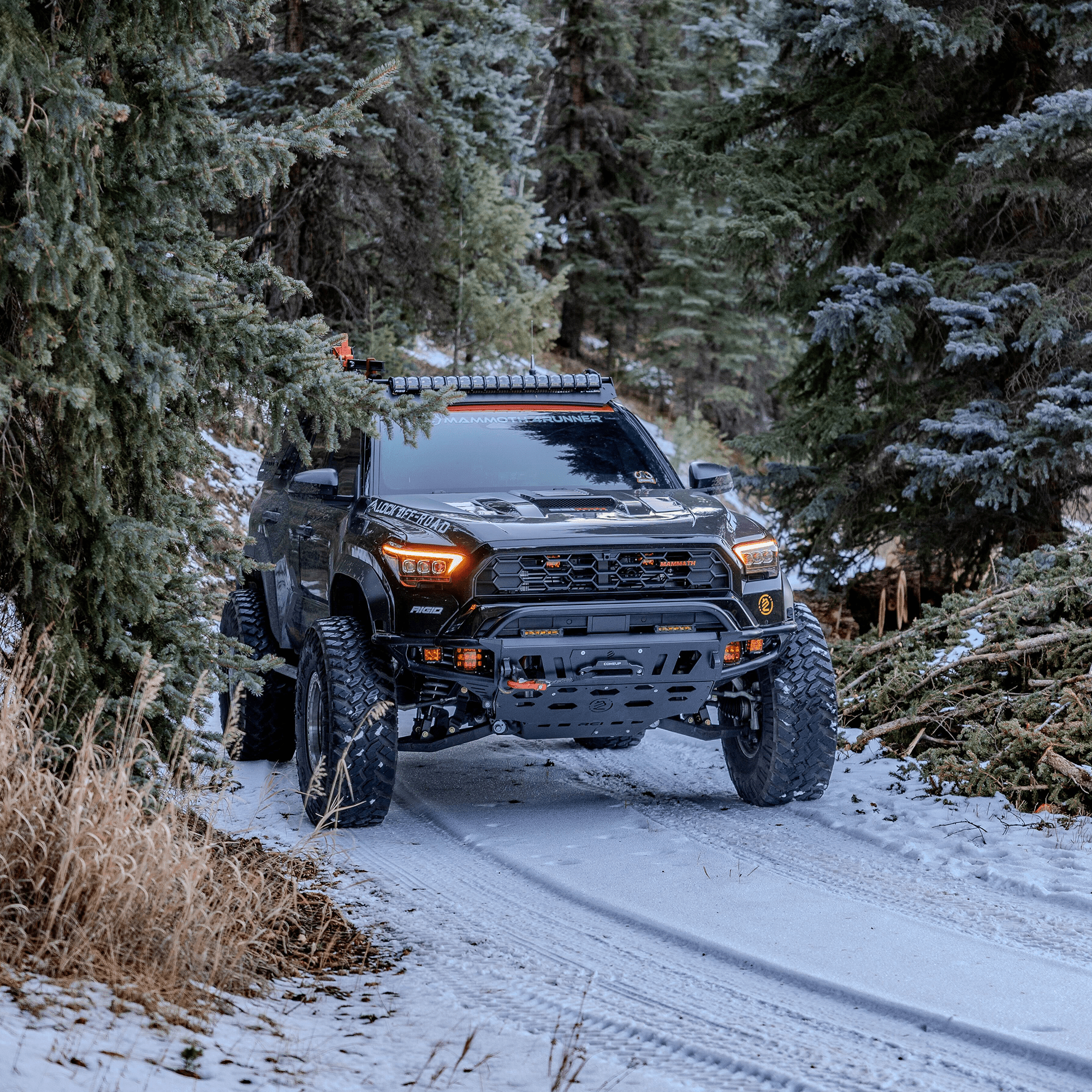 2025 / 6th Gen / 4Runner Front Bumper (TSS) - TEQ Offroad